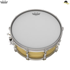 Pele para Caixa/Surdo 14" - Remo ambassador coated Com Harmônicos vivos